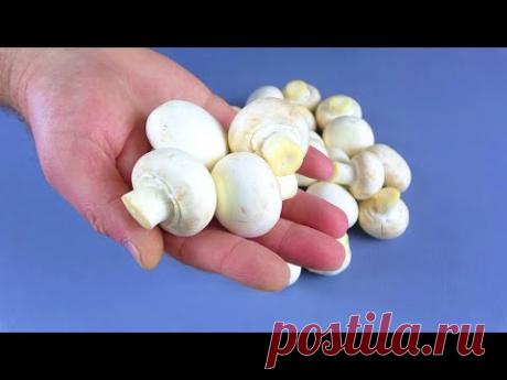 Сырые вкуснее! Рецепт салата из сырых шампиньонов