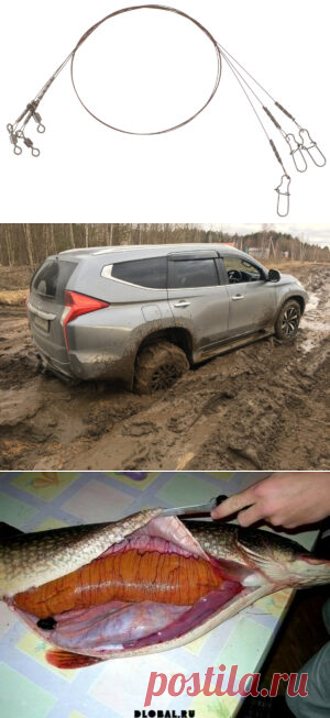 Весенняя рыбалка на щуку на просторах Волги и её притоках