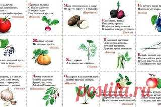 КАРТОЧКИ С ЗАГАДКАМИ ДЛЯ ДЕТЕЙ
#SC_Загадки

 овощи, фрукты, ягоды
 животные, птицы, насекомые
 транспорт
 сказки