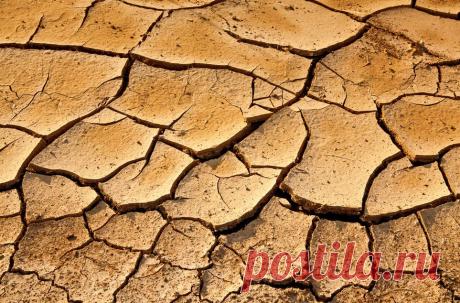 Фотографии пустыни и засухи