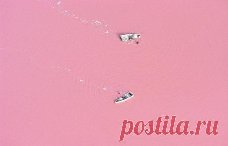 Ретба - самое розовое озеро Африки - Фишки.нет