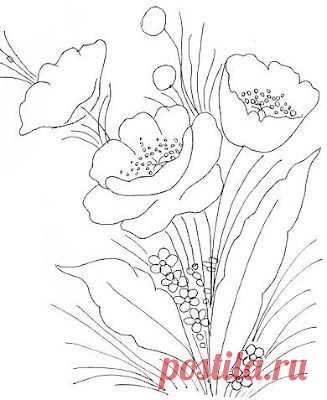 Flores | Dessin