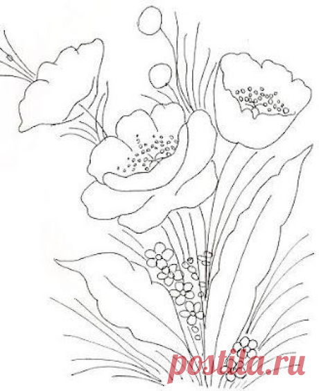 Flores | Dessin