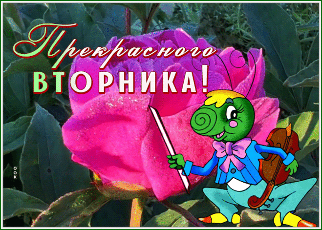 Забавная открытка прекрасного вторника с кузнечиком