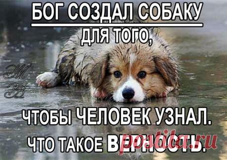 4 непрочитанных чата