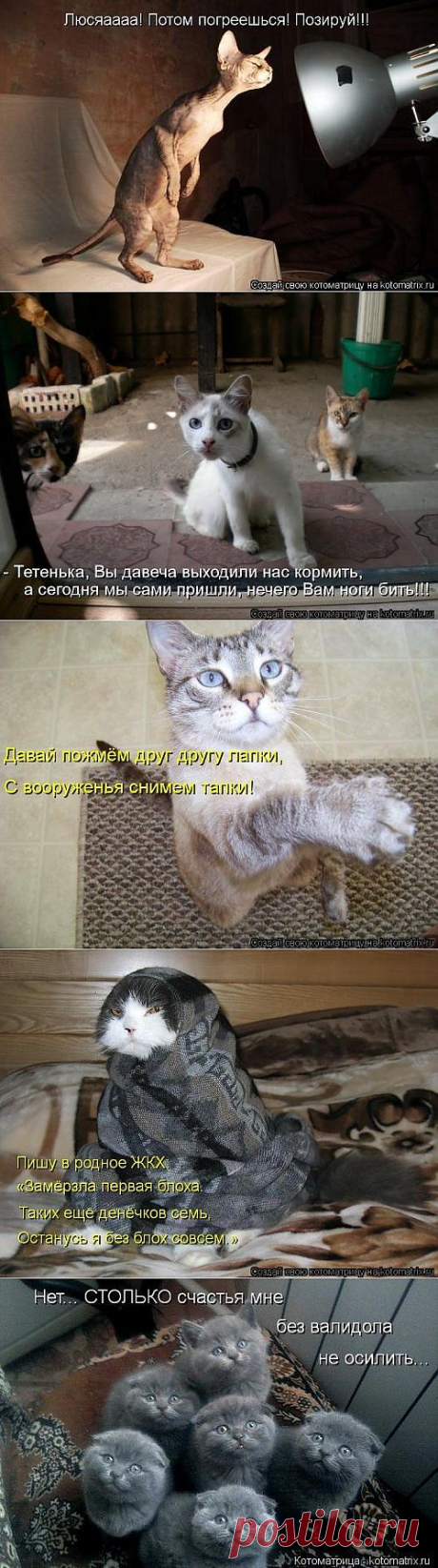 Улыбательные приколы