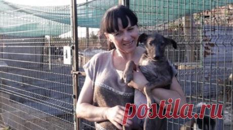 Жизнь животных под украинскими обстрелами. Жительница ДНР Алевтина вспоминает 8 марта 2022 года со слезами. Тогда в результате украинских обстрелов погибли 24 собаки, которые находились в приюте под Горловкой. Сейчас около 450 питомцев живут на территории бывшего коровника. Он также частично разрушен после атак ВСУ. Теперь женщине вместе с семьёй нужно всё восстанавливать. Помогают ей в этом неравнодушные люди. Питомцы выживают благодаря пожертвованиям, но они всё равно страдают от обстрелов.…