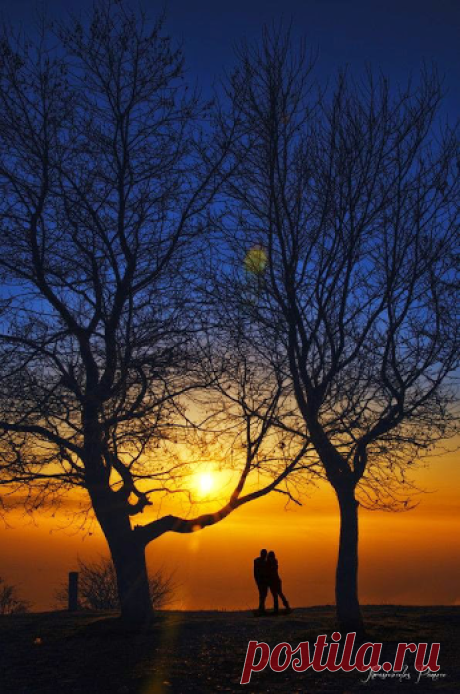 Nelly BurBen – Google+