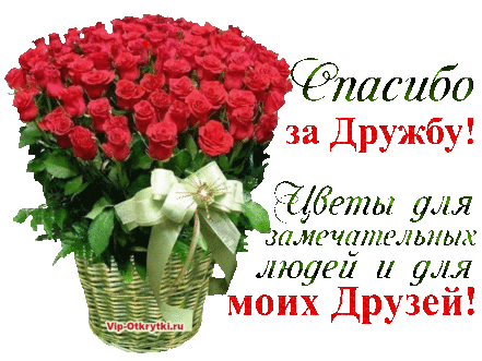 Спасибо за дружбу | Музыкальные Открытки Бесплатно