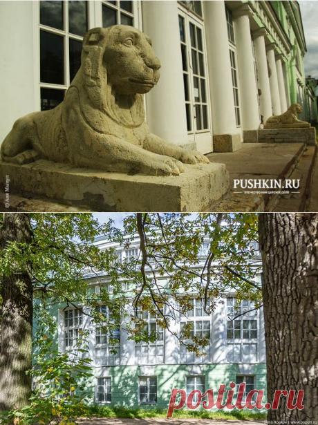 Большая оранжерея