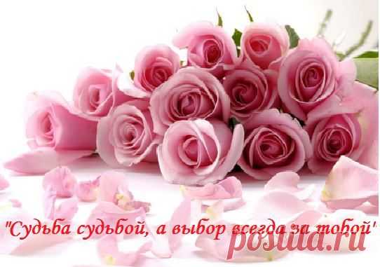 (24) Одноклассники