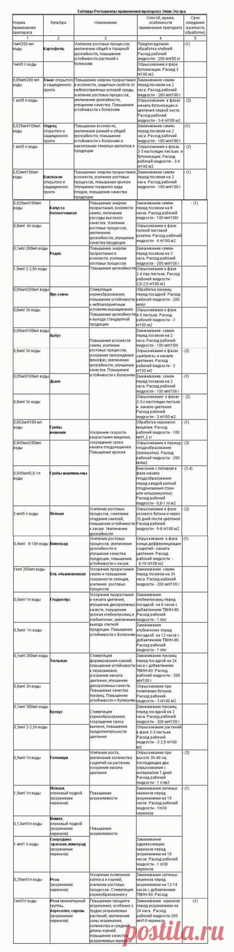 Эпин - основные характеристики и инструкция по применению эпина