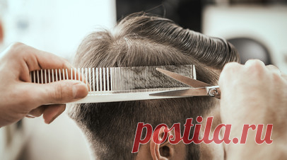 В Росстате рассчитали среднюю стоимость модельных стрижек в парикмахерских. Средняя стоимость мужской и женской модельных стрижек в российских парикмахерских в октябре 2023 года составляла 756,04 рубля и 554,81 рубля соответственно. В конце октября 2024-го эти суммы выросли на 76,43 и 65,36 рубля. Читать далее