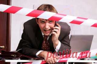 Однодневки: мы вас поймаем