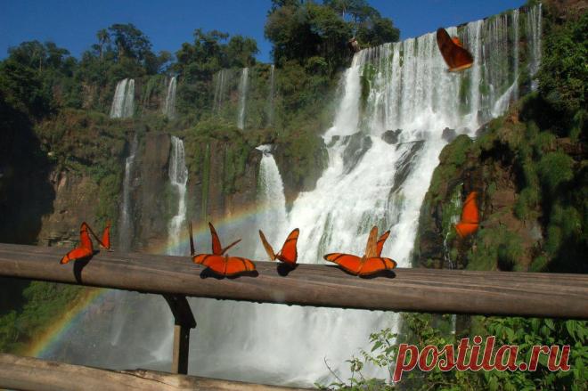 Водопады Игуасу, Аргентина