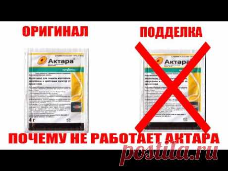 Препарат АКТАРА—почему не работает?