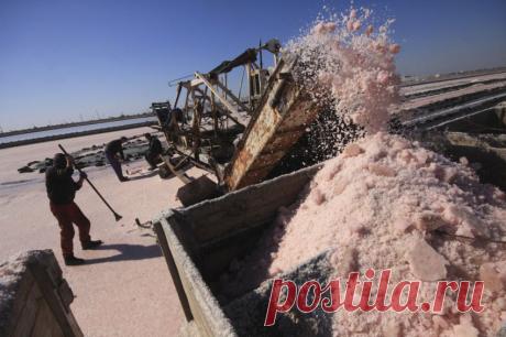 Как добывают соль в Крыму | Наука и техника
