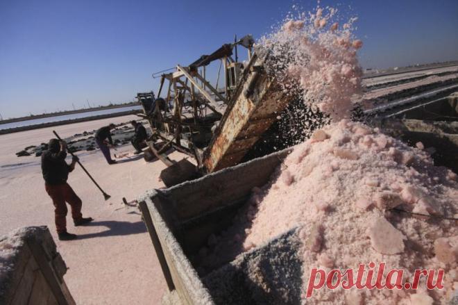 Как добывают соль в Крыму | Наука и техника