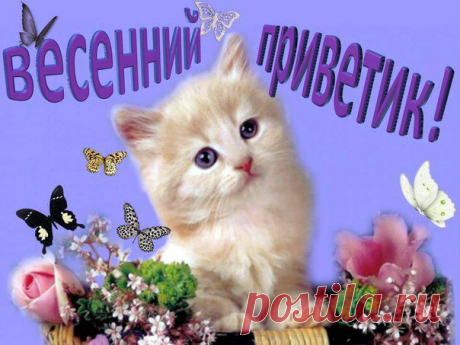ВЕсенний привет картинки: 33 тыс изображений найдено в Яндекс.Картинках