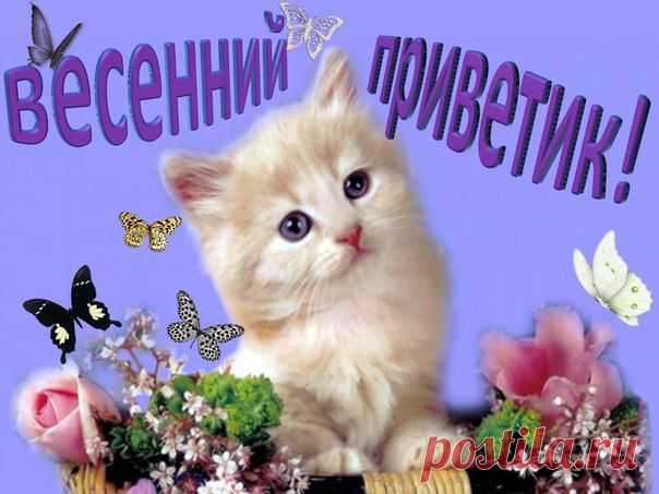 ВЕсенний привет картинки: 33 тыс изображений найдено в Яндекс.Картинках