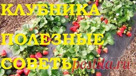 (46) Одноклассники