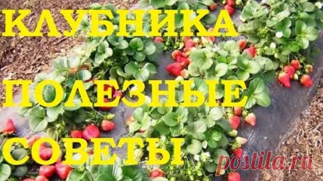 (46) Одноклассники