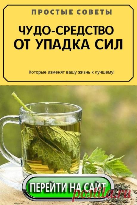 Световой день все уменьшается, вставать по утрам становится все сложнее… Помочь в этой ситуации вам поможет не только кофе, но и другие природные энергетики. Эти напитки зарядят ваш организм бодростью, укрепят иммунитет и придадут сил для новых свершений. Правда, злоупотреблять такими стимуляторами, конечно же, не стоит.