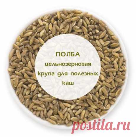 Полба