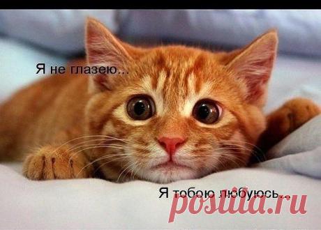 ПРИВЕТИК,ДРУЗЬЯ!