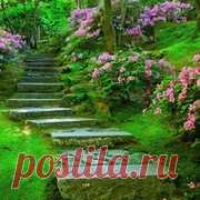 Настойки лечебных трав для очищения сосудов.    Для выведения «плохого» холестерина из организма используются ягоды  калины и рябины, плоды шиповника, настой и отвар овса, настой сушеницы  топяной, корни и надземная часть подсолнечника, корни и листья  одуванчика.       Настои и настойки лекарственных трав, применяемые для выведения  холестери...