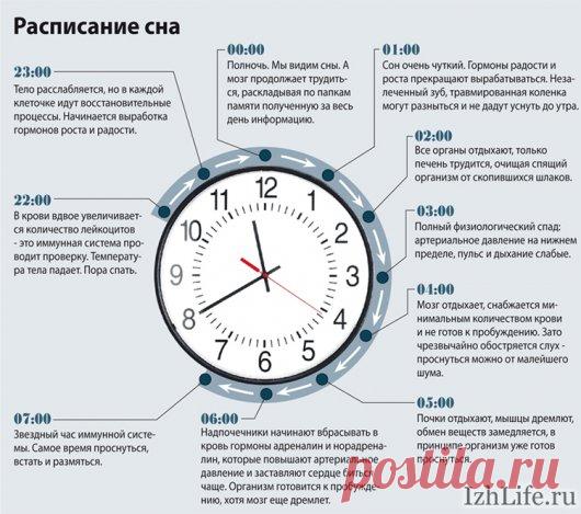 в какое время суток самый крепкий сон: 12 тыс изображений найдено в Яндекс.Картинках