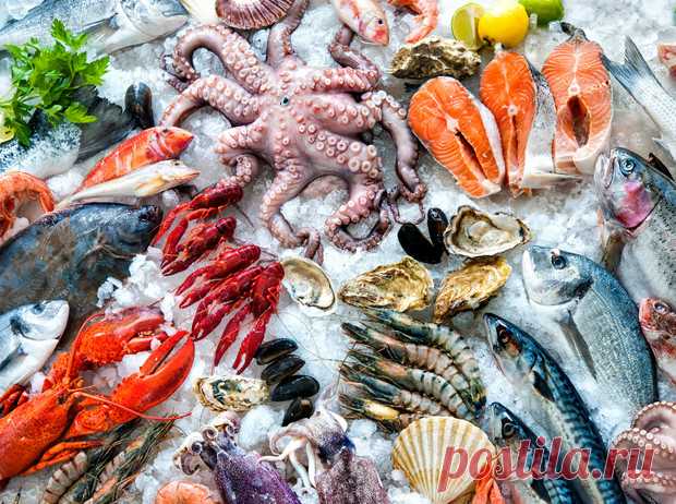 Как правильно выбирать морепродукты: советы эксперта