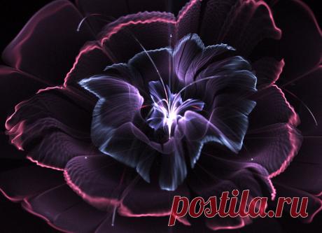 Simple flower. by Kondratij on DeviantArt