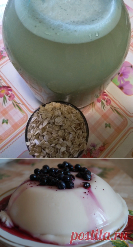 А вы делаете овсяный кисель? Наталья Сенчукова делает! Я тоже решила приготовить. | Заметки пенсионерки | Яндекс Дзен