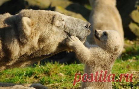 Интересные новости