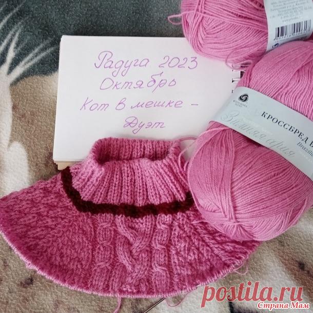 Радуга 2023. Отчёт за октябрь. Розовый свитер. - Школа рукоделия - Страна Мам