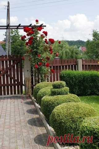 Расстояние между строениями на даче: изучаем документацию 

Приступая к проектированию, а затем и постройке своего дома, не многие размышляют над тем, какое расстояние между строениями является безопасным, на каком безопасном расстоянии от здания должен располагаться забор. Такой подход к выполнению работы не совсем верный. Точнее сказать, совсем неверный. Существует ряд документов, которые регулируют данные вопросы. И перед любым строительством их необходимо изучить, чтоб...