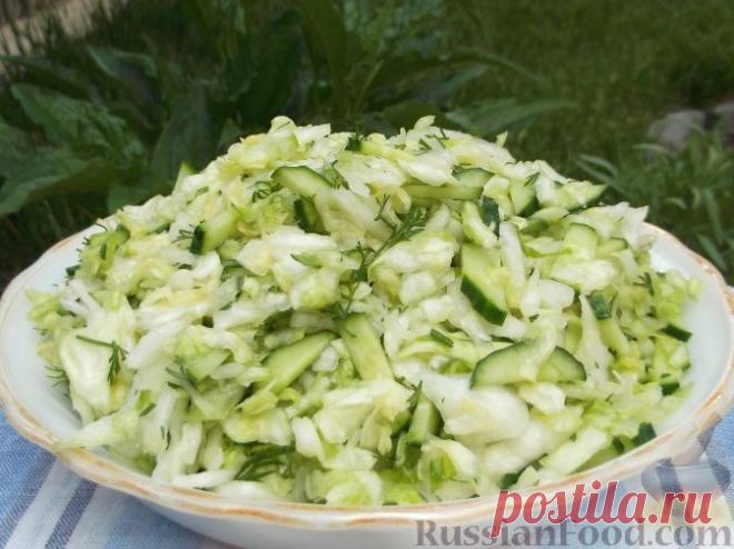 Капуста белокочанная (молодая) - 500 г
Огурцы свежие - 2 шт.
Укроп - 50 г
Для заправки:

Масло растительное - 3 ст. ложки
Уксус 3% - 2 ст. ложки
Сахар - 1 ст. ложка