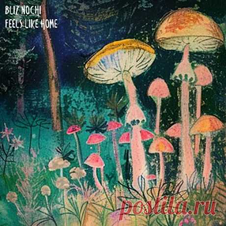 Bliz Nochi – Feels Like Home