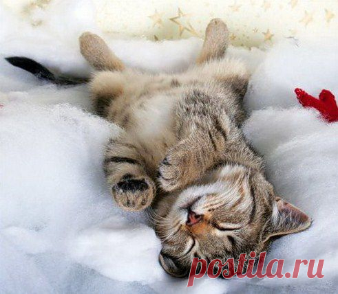 И снится нам не рокот космодрома...