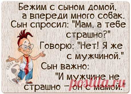 Прикольные фразочки в картинках