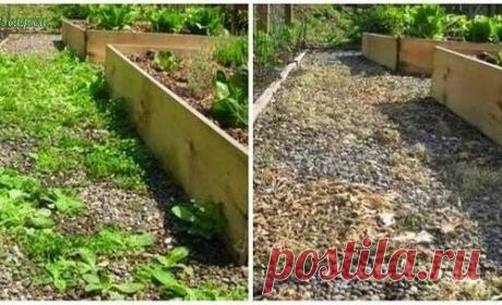 ВСЁ ДЛЯ ДОМА