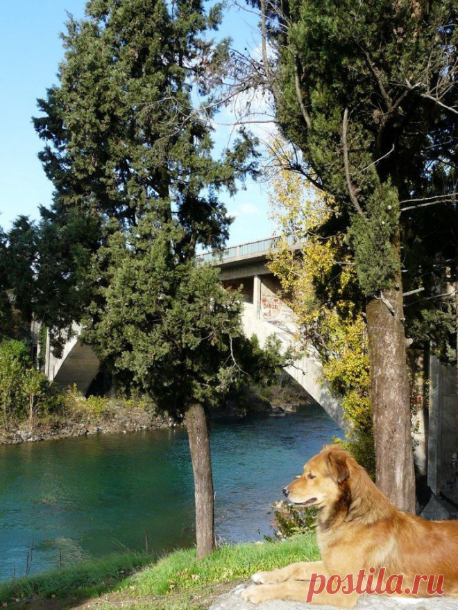 River Moracha-Podgorica