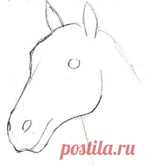 Рисуем голову лошади