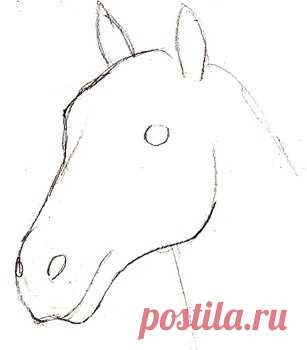 Рисуем голову лошади — DIYIdeas