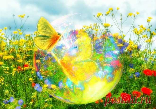 Паоло Коэльо о жизни — Народные приметы