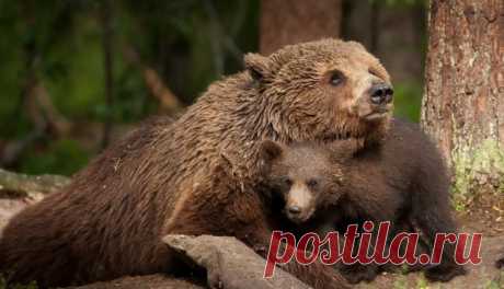 Снимки, вызывающие эмоции - ЯПлакалъ