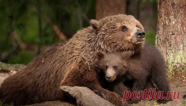 Снимки, вызывающие эмоции - ЯПлакалъ