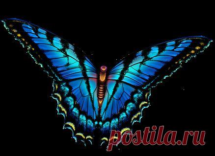 Домашняя страница