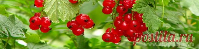 Заговоры для красоты и привлекательности